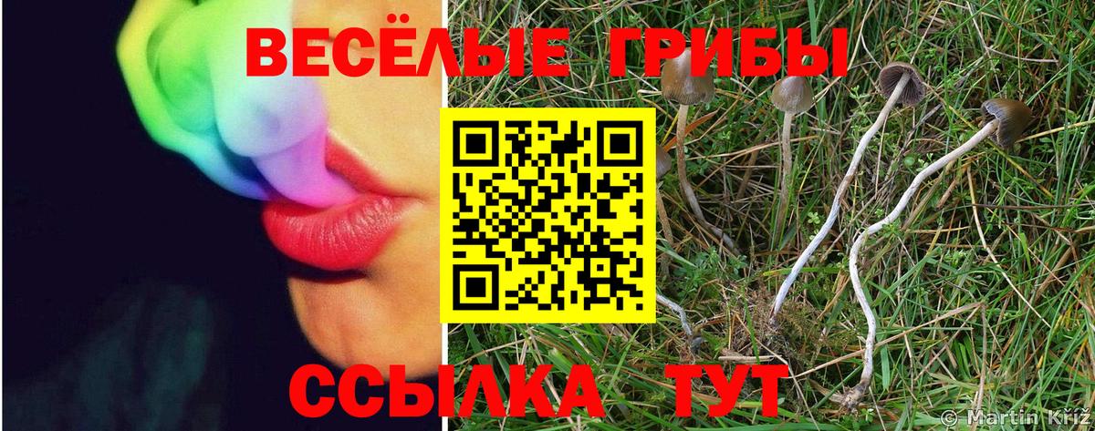 Лангепас  сколько стоит  Вход с VPN  Псилоцибиновые грибы ЛСД 