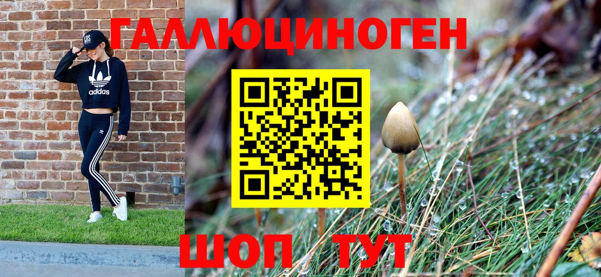 Псилоцибиновые грибы прущие грибы Лангепас